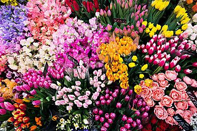 CDPR：不会染指不擅长的游戏 3A开放世界RPG将一直做下去